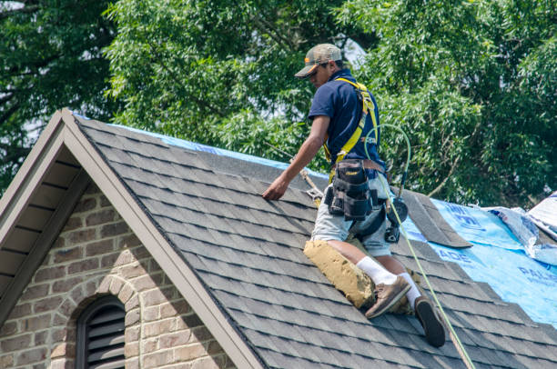 Quick and Trustworthy Emergency Roof Repair Services in Sierra Madre, CA